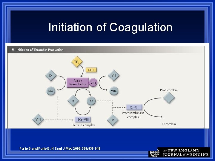 Initiation of Coagulation Furie B and Furie B. N Engl J Med 2008; 359: