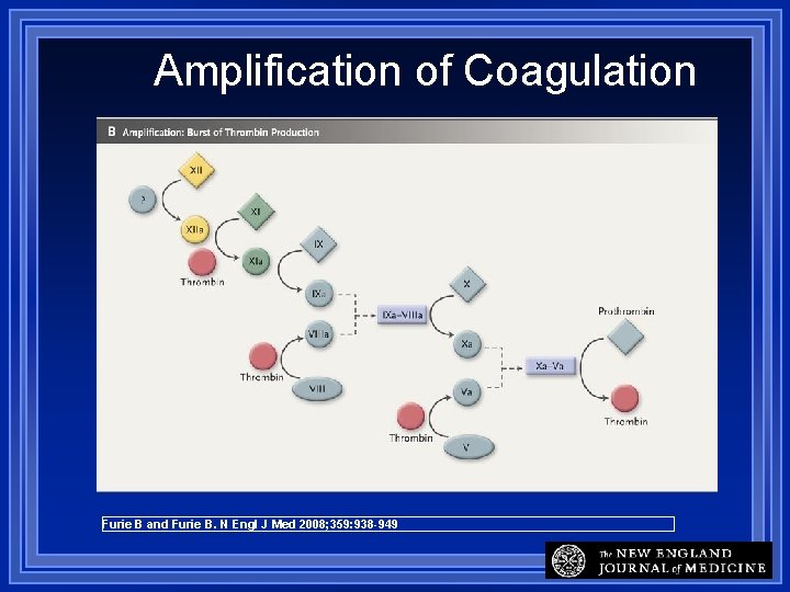 Amplification of Coagulation Furie B and Furie B. N Engl J Med 2008; 359: