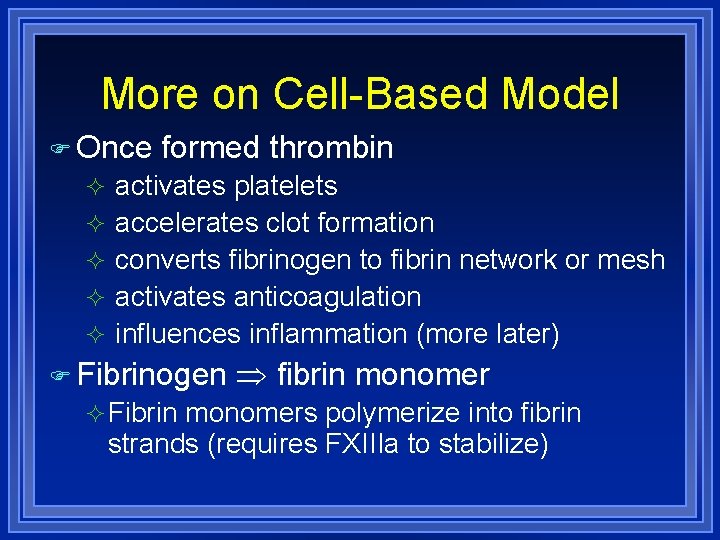 More on Cell-Based Model Once formed thrombin activates platelets accelerates clot formation converts fibrinogen