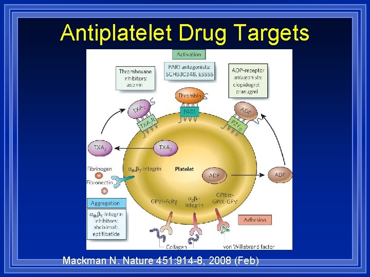 Antiplatelet Drug Targets Mackman N. Nature 451: 914 -8, 2008 (Feb) 