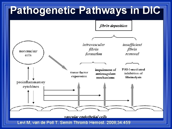 Pathogenetic Pathways in DIC Levi M, van de Poll T. Semin Thromb Hemost. 2008;