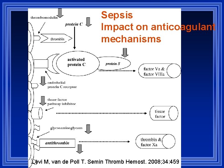Sepsis Impact on anticoagulant mechanisms Levi M, van de Poll T. Semin Thromb Hemost.
