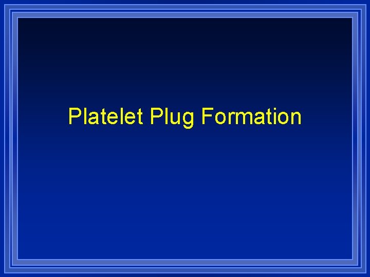 Platelet Plug Formation 