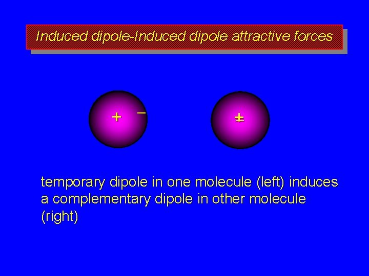 Induced dipole-Induced dipole attractive forces + – +– temporary dipole in one molecule (left)