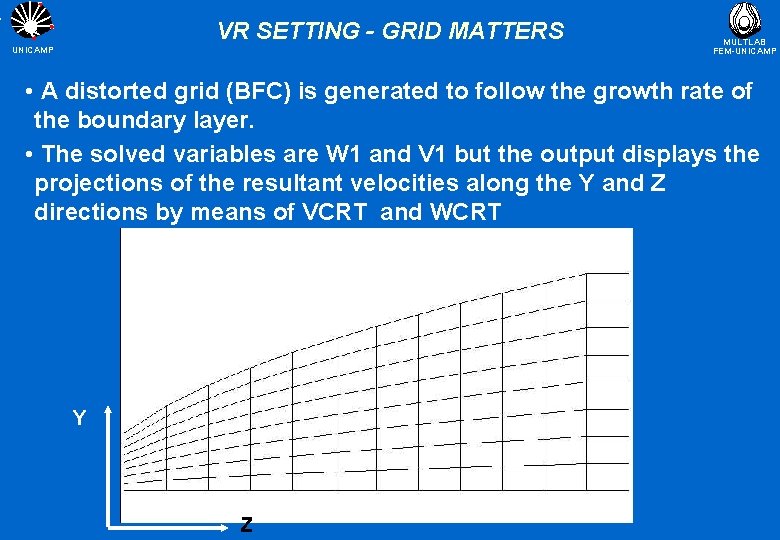 VR SETTING - GRID MATTERS UNICAMP MULTLAB FEM-UNICAMP • A distorted grid (BFC) is