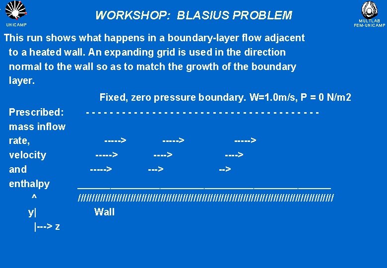 WORKSHOP: BLASIUS PROBLEM UNICAMP This run shows what happens in a boundary-layer flow adjacent