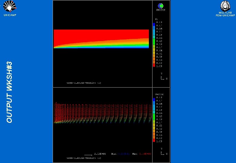 OUTPUT WKSH#3 UNICAMP MULTLAB FEM-UNICAMP 