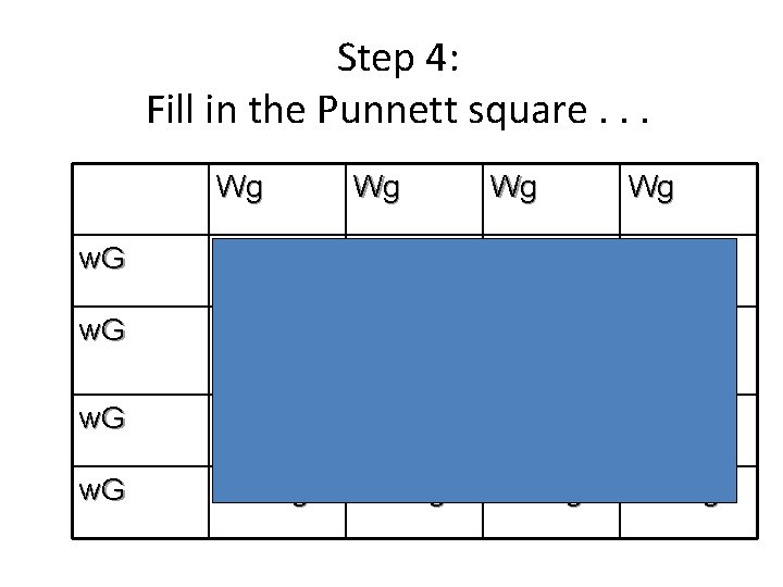Step 4: Fill in the Punnett square. . . Wg Wg w. G Ww. Step 4: Fill in the Punnett square. . . Wg Wg w. G Ww.