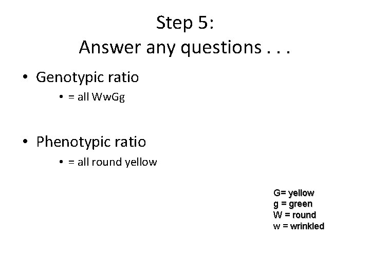 Step 5: Answer any questions. . . • Genotypic ratio • = all Ww. Step 5: Answer any questions. . . • Genotypic ratio • = all Ww.