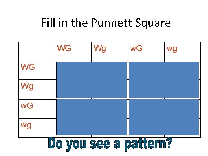 Fill in the Punnett Square WG Wg w. G wg WG WWGg Ww. GG Fill in the Punnett Square WG Wg w. G wg WG WWGg Ww. GG