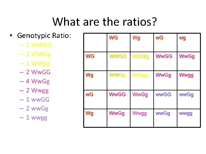 What are the ratios? • Genotypic Ratio: – – – – – 1 WWGG What are the ratios? • Genotypic Ratio: – – – – – 1 WWGG