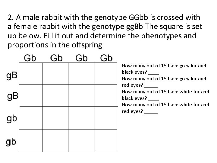 2. A male rabbit with the genotype GGbb is crossed with a female rabbit 2. A male rabbit with the genotype GGbb is crossed with a female rabbit