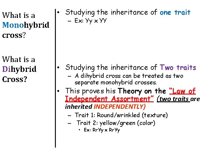 • Studying the inheritance of one trait What is a – Ex: Yy  • Studying the inheritance of one trait What is a – Ex: Yy