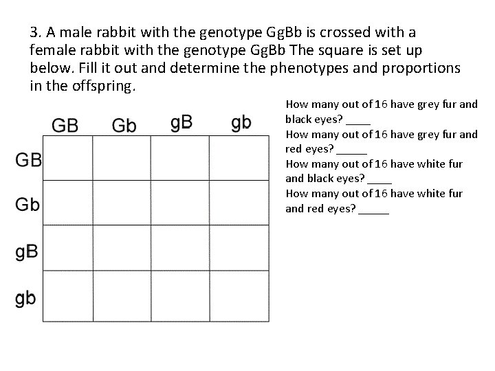 3. A male rabbit with the genotype Gg. Bb is crossed with a female 3. A male rabbit with the genotype Gg. Bb is crossed with a female
