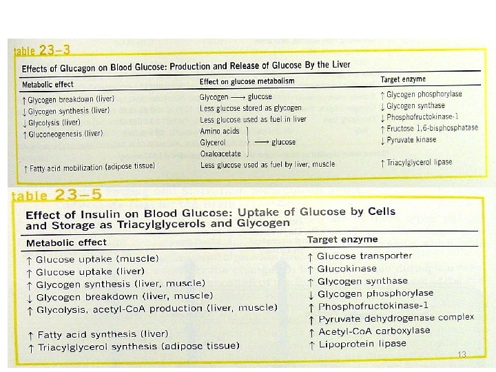Endocrine module Regulation of metabolism 1 Lecture 3
