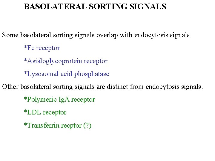 BASOLATERAL SORTING SIGNALS Some basolateral sorting signals overlap with endocytosis signals. *Fc receptor *Asialoglycoprotein