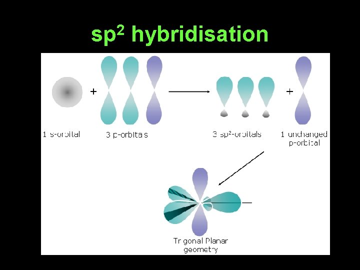 sp 2 hybridisation 