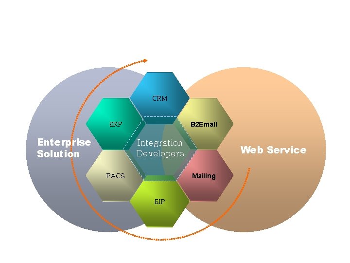 Business Fields : SI Development & Solutions CRM B 2 Emall ERP Enterprise Solution