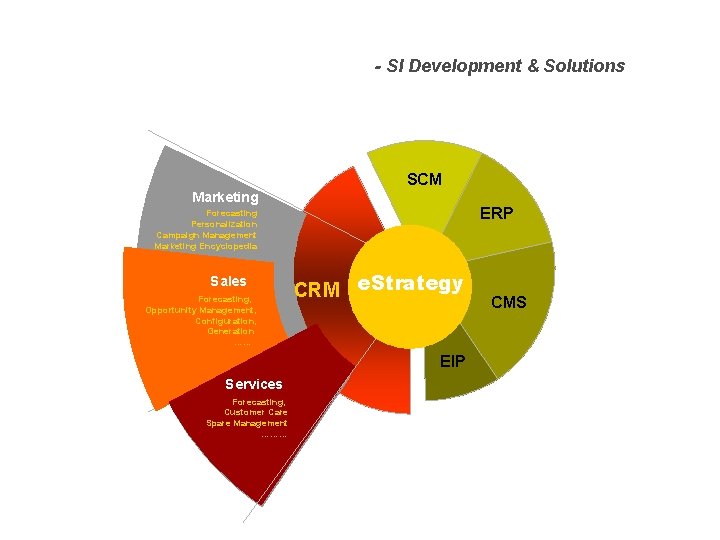  Solution & Service - SI Development & Solutions SCM Marketing ERP Forecasting Personalization