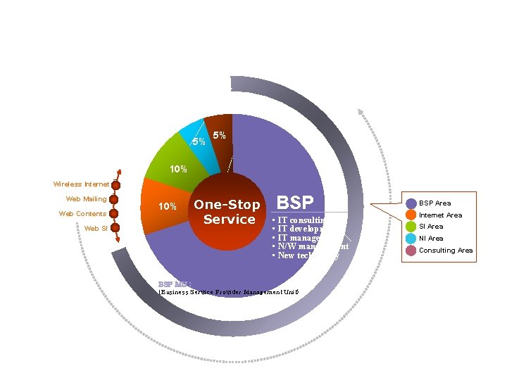  e. Biz Solutions & Service 5% 5% 10% Wireless Internet Web Mailing Web