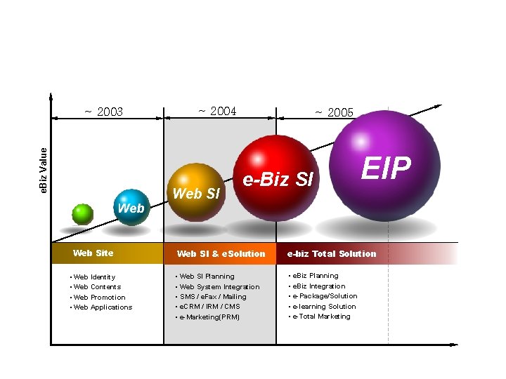  e. Biz Transformation e. Biz Value ~ 2003 Web Site • Web Identity