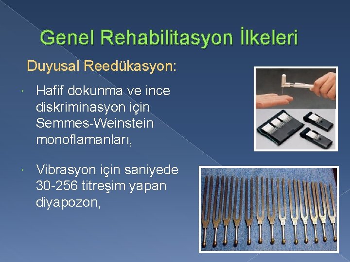 Genel Rehabilitasyon İlkeleri Duyusal Reedükasyon: Hafif dokunma ve ince diskriminasyon için Semmes-Weinstein monoflamanları, Vibrasyon