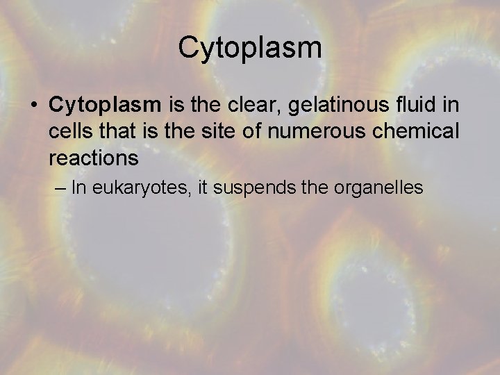 Cytoplasm • Cytoplasm is the clear, gelatinous fluid in cells that is the site