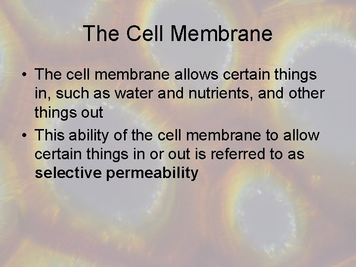 The Cell Membrane • The cell membrane allows certain things in, such as water