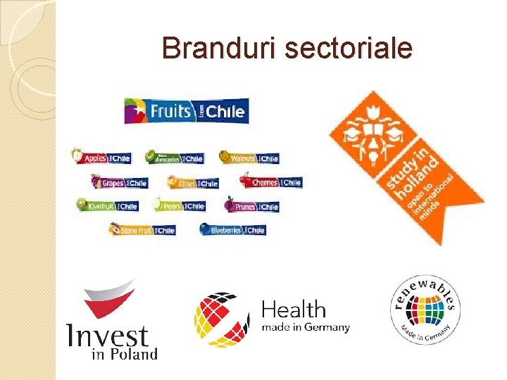 Branduri sectoriale 