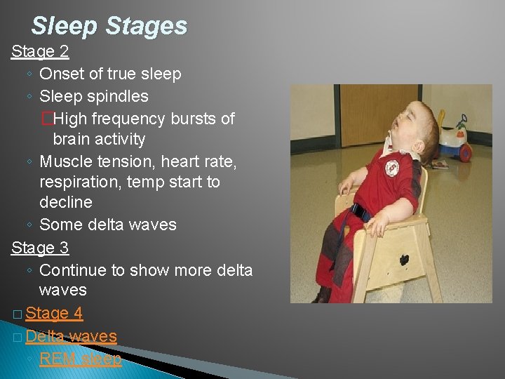 Sleep Stages Stage 2 ◦ Onset of true sleep ◦ Sleep spindles �High frequency
