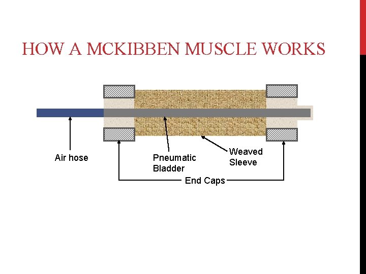 HOW A MCKIBBEN MUSCLE WORKS Air hose Weaved Pneumatic Sleeve Bladder End Caps 