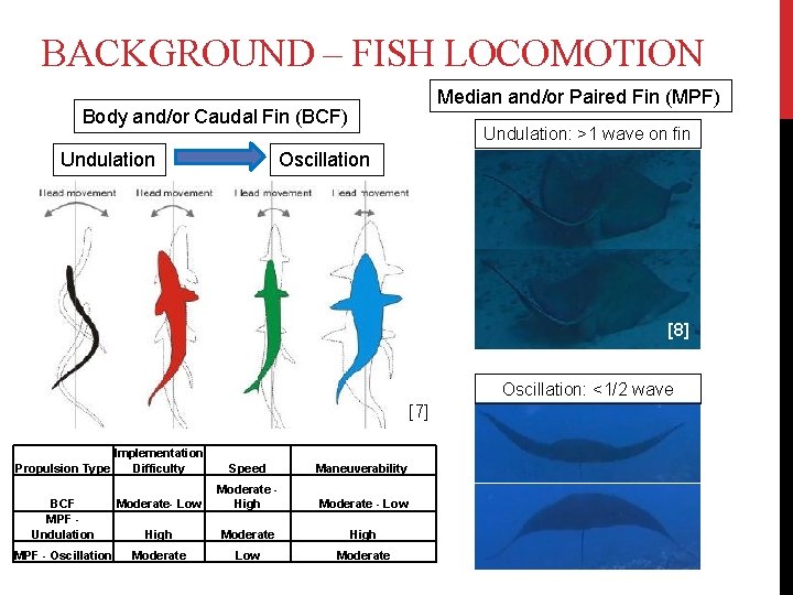 BACKGROUND – FISH LOCOMOTION Median and/or Paired Fin (MPF) Body and/or Caudal Fin (BCF)