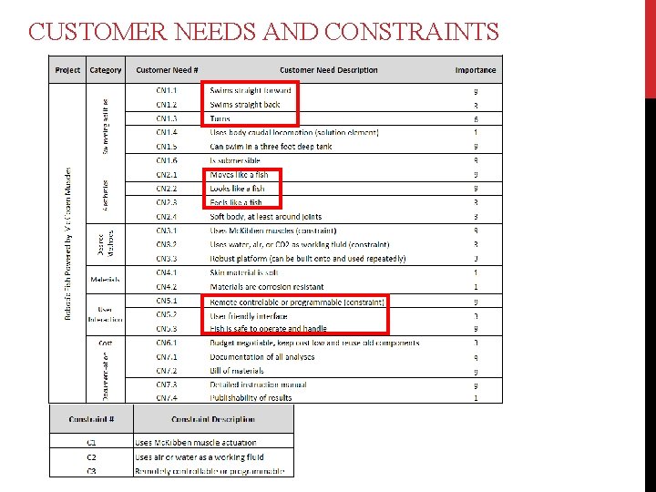 CUSTOMER NEEDS AND CONSTRAINTS 