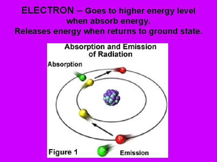 ELECTRON – Goes to higher energy level when absorb energy. Releases energy when returns