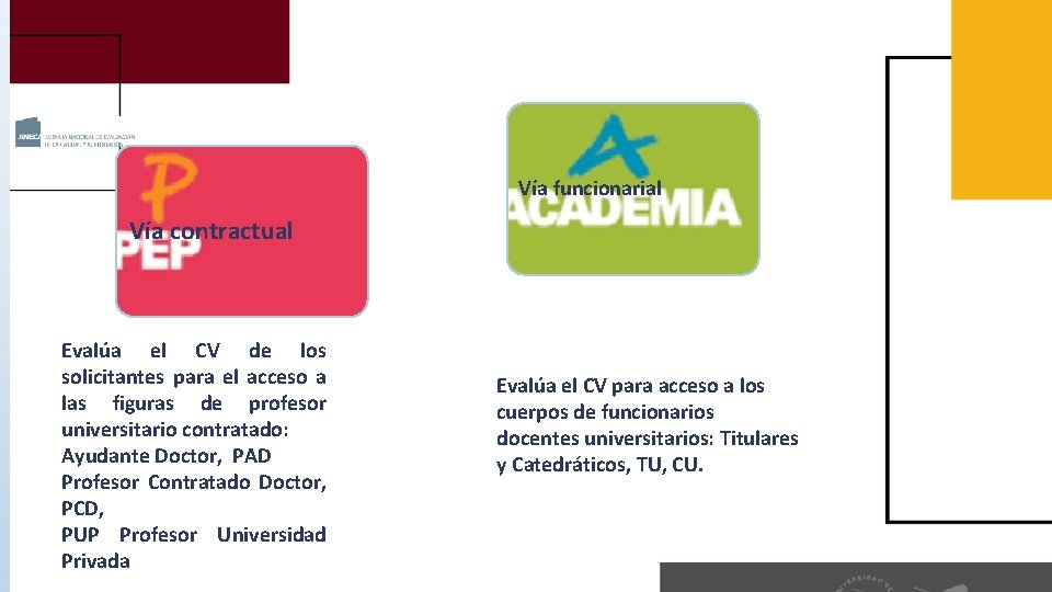 Vía funcionarial Vía contractual Evalúa el CV de los solicitantes para el acceso a