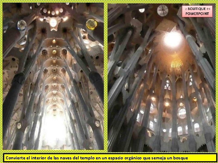 Convierte el interior de las naves del templo en un espacio orgánico que semeja