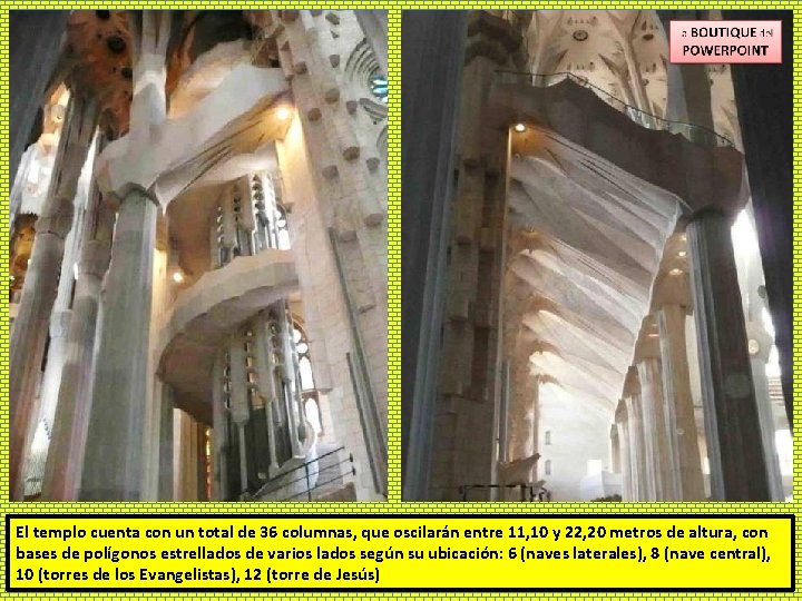 El templo cuenta con un total de 36 columnas, que oscilarán entre 11, 10