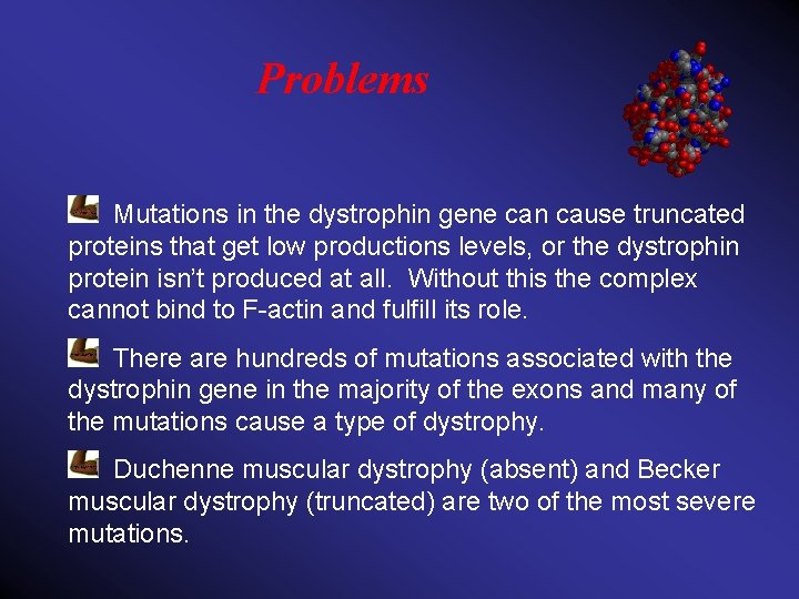 Problems Mutations in the dystrophin gene can cause truncated proteins that get low productions