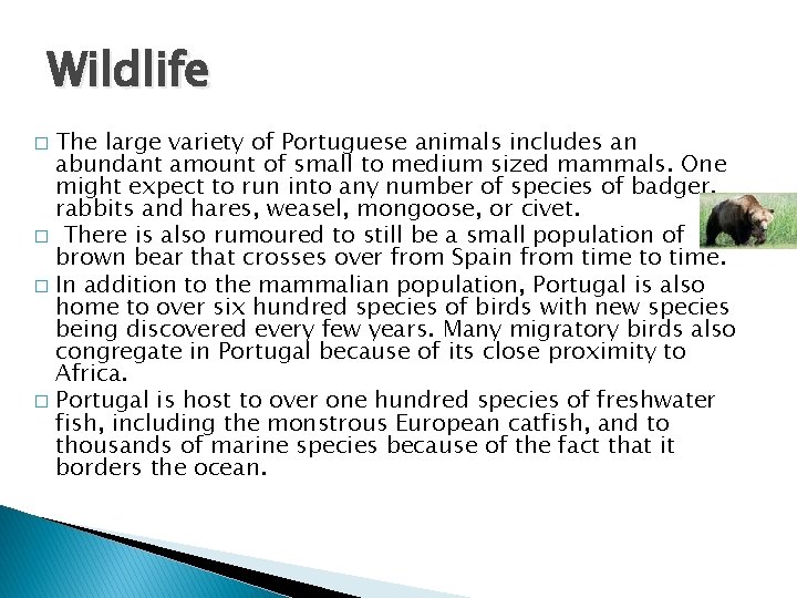 Wildlife The large variety of Portuguese animals includes an abundant amount of small to