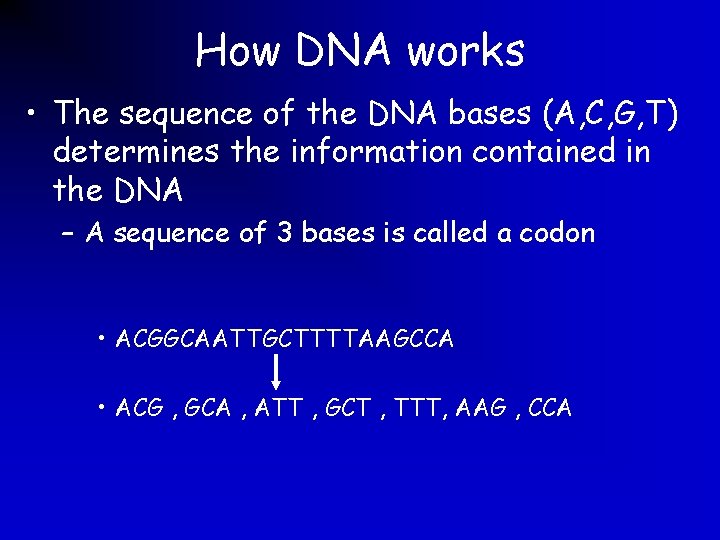 How DNA works • The sequence of the DNA bases (A, C, G, T)