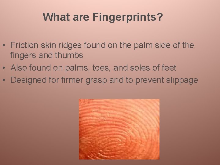 What are Fingerprints? • Friction skin ridges found on the palm side of the