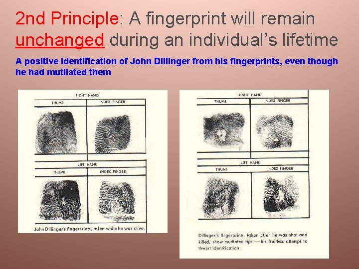2 nd Principle: A fingerprint will remain unchanged during an individual’s lifetime A positive