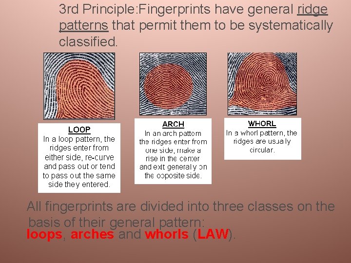 3 rd Principle: Fingerprints have general ridge patterns that permit them to be systematically