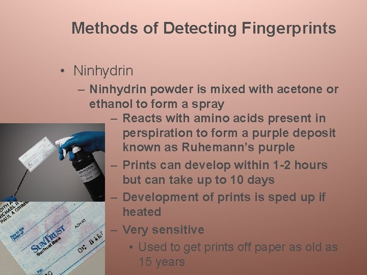 Methods of Detecting Fingerprints • Ninhydrin – Ninhydrin powder is mixed with acetone or