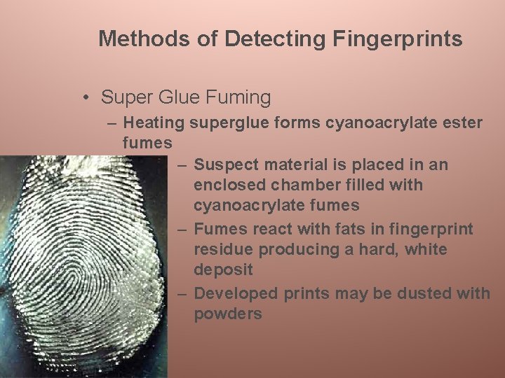 Methods of Detecting Fingerprints • Super Glue Fuming – Heating superglue forms cyanoacrylate ester