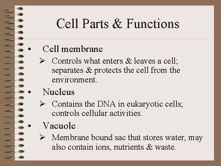Cell Parts & Functions • Cell membrane Ø Controls what enters & leaves a