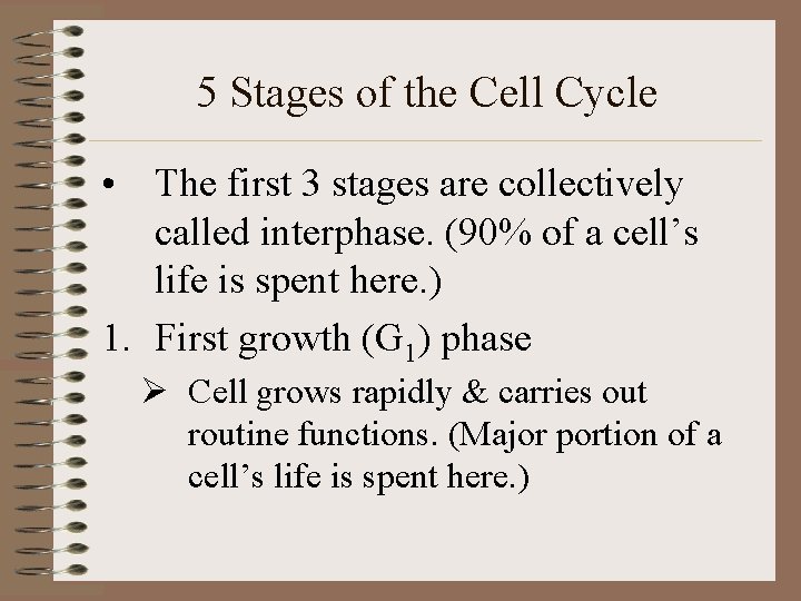 5 Stages of the Cell Cycle • The first 3 stages are collectively called
