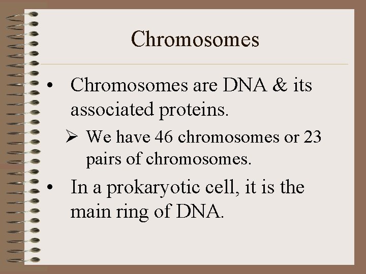 Chromosomes • Chromosomes are DNA & its associated proteins. Ø We have 46 chromosomes
