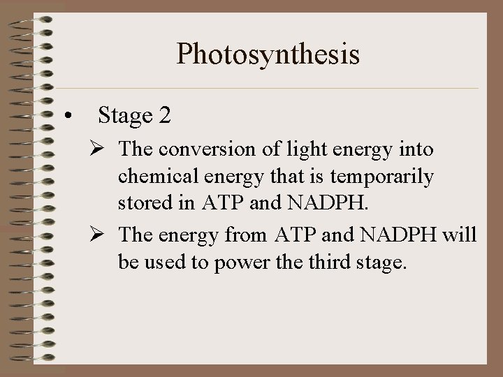 Photosynthesis • Stage 2 Ø The conversion of light energy into chemical energy that
