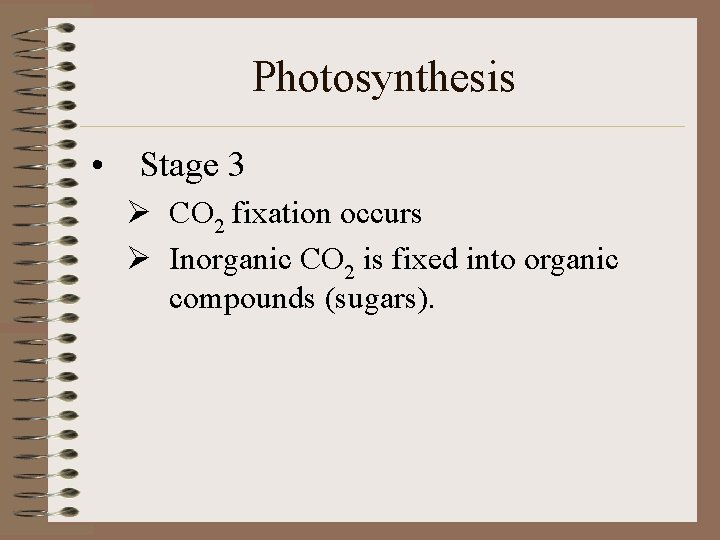 Photosynthesis • Stage 3 Ø CO 2 fixation occurs Ø Inorganic CO 2 is